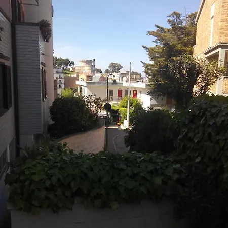 L'edera * Matera